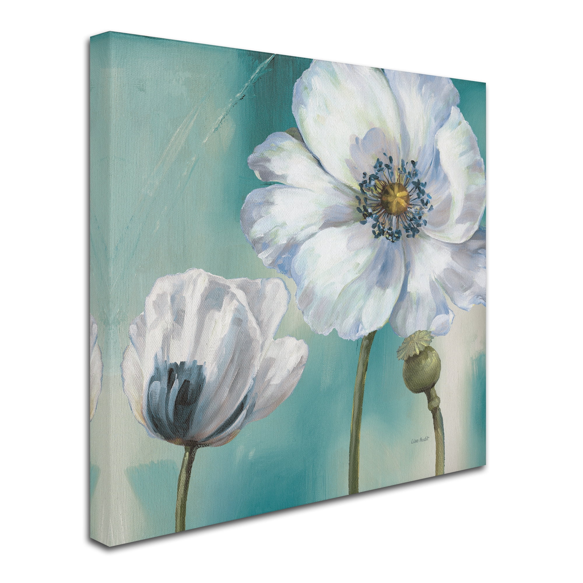 Trademark Fine Art 'Teal Dance III' Canvas Art by Lisa Audit