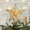 Gold, variant on Hvmvliv Star Christmas Tree Topper with Lights 3D Hollow Five Pointed Star Xmas Treetop Ornament Luminiferous Pentagram Christmas Tree Top Decorations Gold