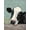 Unframed, variant on Art.com Holstein Cow III Art Print by Jade Reynolds, 12" x 16"