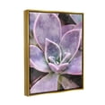 thumbnail image 3 of Purple Succulent Close Up Botanical & Floral Graphic Art Metallic Gold Framed Art Print Wall Art, 3 of 6