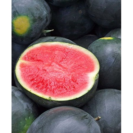 Bonnie Plants Black Diamond Watermelon 19.3 oz.