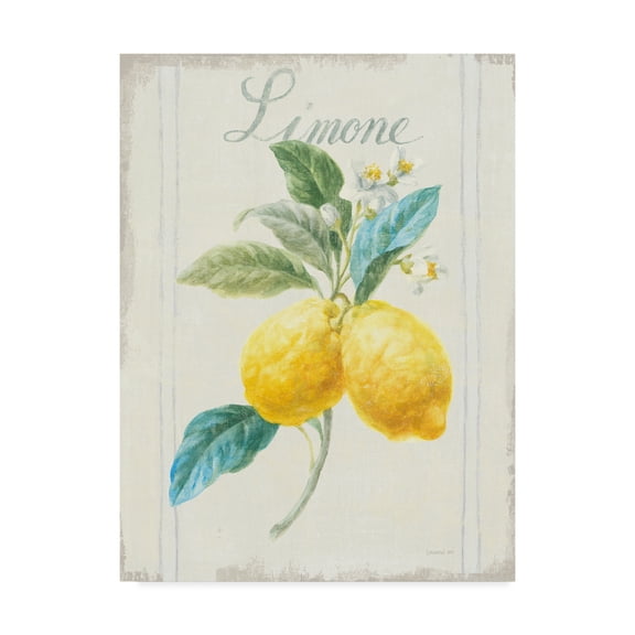 Trademark Fine Art 'Floursack Lemon III v2' Canvas Art by Danhui Nai