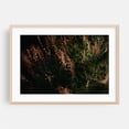 thumbnail image 2 of Late Summer Bloom in Mt. Scott - Portland Oregon Photography Botanical Autumn Floral Nature Garden Wilderness Moody Unframed Wall Art Print 40 x 60 inches, 2 of 7