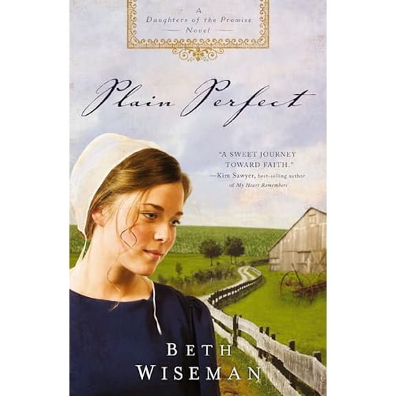 Pre-Owned The Plain Perfect (Paperback) 1595546308 9781595546302