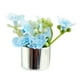 thumbnail image 3 of Modelo en miniatura de casa de muñecas, maceta, accesorio de fotografía, adornos para casa de muñecas en maceta flor azul claro, 3 of 9