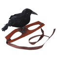 thumbnail image 1 of Pet Tiara With A Crow On Head Realistic Decoration For Halloween, 1 of 4