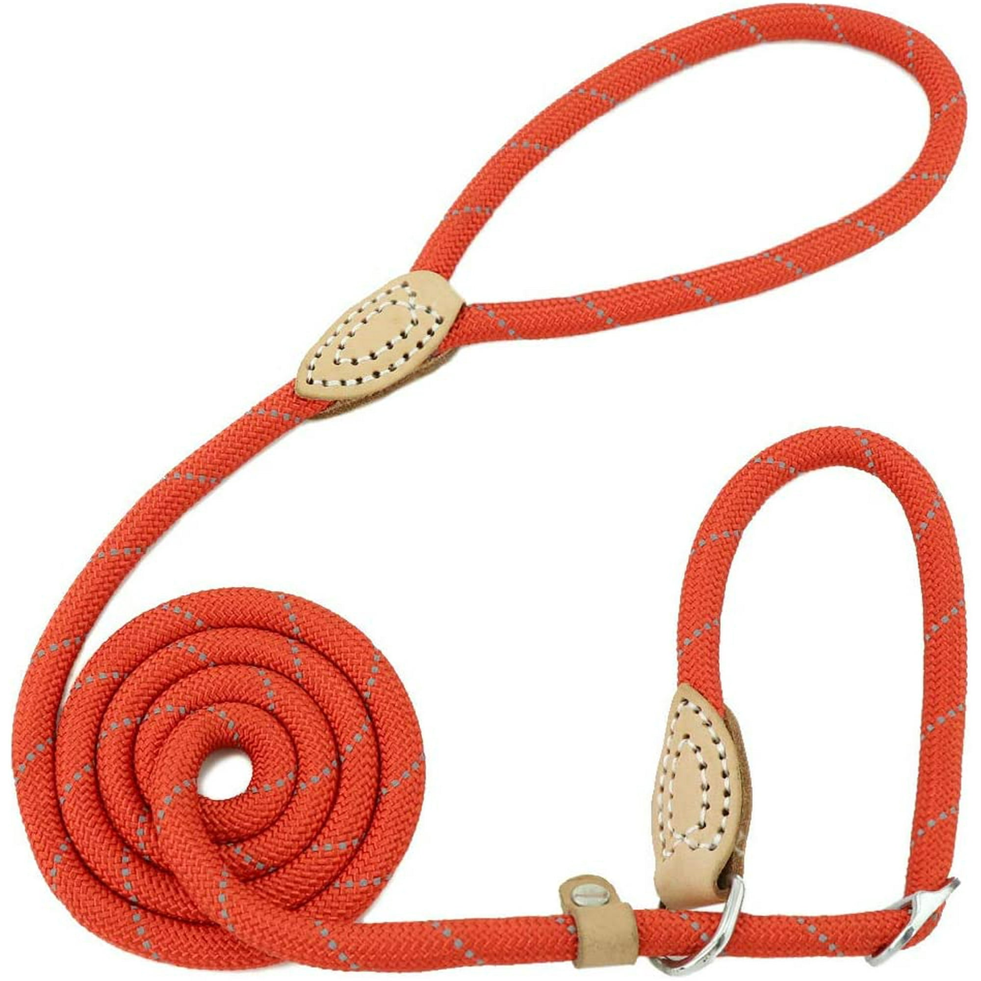 Lasso dog leash deals