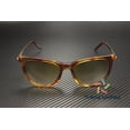 thumbnail image 2 of SAINT LAURENT SL 510 005 Cat Eye Havana Gold Brown 54 mm Women's Sunglasses, 2 of 5