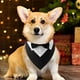 thumbnail image 5 of Pañuelo de boda para perro, Collar para perro con diseños de pajarita, Collar ajustable, pajarita Formal para perro Tux, 5 of 5