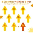 thumbnail image 5 of Poly·Vi·Sol with Iron Multivitamin Oral Drops 00087040501 1 Count, 5 of 8