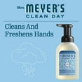 thumbnail image 4 of Mrs. Meyer's Clean Day Foaming Hand Soap, Rain Water Scent, 10  fl oz Bottle, 4 of 6