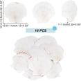 thumbnail image 3 of 10pcs 4.1~4.3" Large Scallop Shells Natural White Scallops White Sea Shells Natural Shell Beads Undrilled Baking Shells for Wedding Sea Beach Vase Filling Art Candle Home Decor, 3 of 6