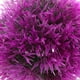 thumbnail image 4 of Bola de Plantas Artificiales Sunnimix Faux Round Topiary Decoración para El Hogar 12cm, 4 of 8