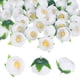 thumbnail image 1 of Uxcell Paquete de 50 Cabezas de Camelia Artificial, Cabeza de Camelia de Seda de 1.3 Pulgadas para Boda/Ramo/Pared de Flores [Blanco Puro, 3.5cm], 1 of 7