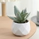 thumbnail image 1 of Mini plantas suculentas artificiales en macetas | Decoración vegetal artificial para el hogar, la oficina, el escritorio y las estanterías., 1 of 6