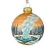 thumbnail image 1 of Ireezec Natural Wonders ries Christmas Ball Flat Acrylic Ornament Hanging Pendant for Holiday Tree Decorations Winter Festival Home Party Decorative Gift, 1 of 2