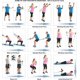 thumbnail image 5 of 1 Juego de Bandas de Resistencia para Entrenamientos físicos - Equipo de Gimnasio Premium apilable hasta 100 Libras para Entrenamiento de Fuerza Baobao, 5 of 5