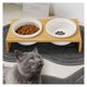 thumbnail image 1 of RAINBOW Tazón para gatos bambú cerámica tazón doble tazón de comida para gatos tazón de agua mesa para mascotas - 3214.55.8cm, blanco, 3 piezas esquí esquí Gafas de esquí, 1 of 5