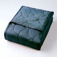 thumbnail image 5 of Nikki Chu  Brushed Velvet Down-Alternative Blanket Moonlit Ocean Twin, 5 of 5