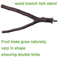 thumbnail image 3 of Loro Pájaro Percha Soporte Plataforma Madera Natural Loro Trampolín Rama De Árbol 2 Uds Moyic EL010172-00, 3 of 4