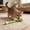 Green, variant on Hovilon Realistic Vegetable Pet Chew Toy - Natural Wood Carrot Celery Cat Toy with Bells, Durable Teething Stick for Small Dogs Cats Rabbits, Interactive Kitten Plaything - 24cm