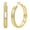 Gold-30mm, variant on 14K Gold Plated Hoop Earrings for Women, Hypoallergenic Thick Gold Hoops, Cubic Zirconia 30mm