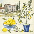 thumbnail image 2 of Tavoletti, Anne 12x12 White Modern Wood Framed Museum Art Print Titled - Citron III, 2 of 4