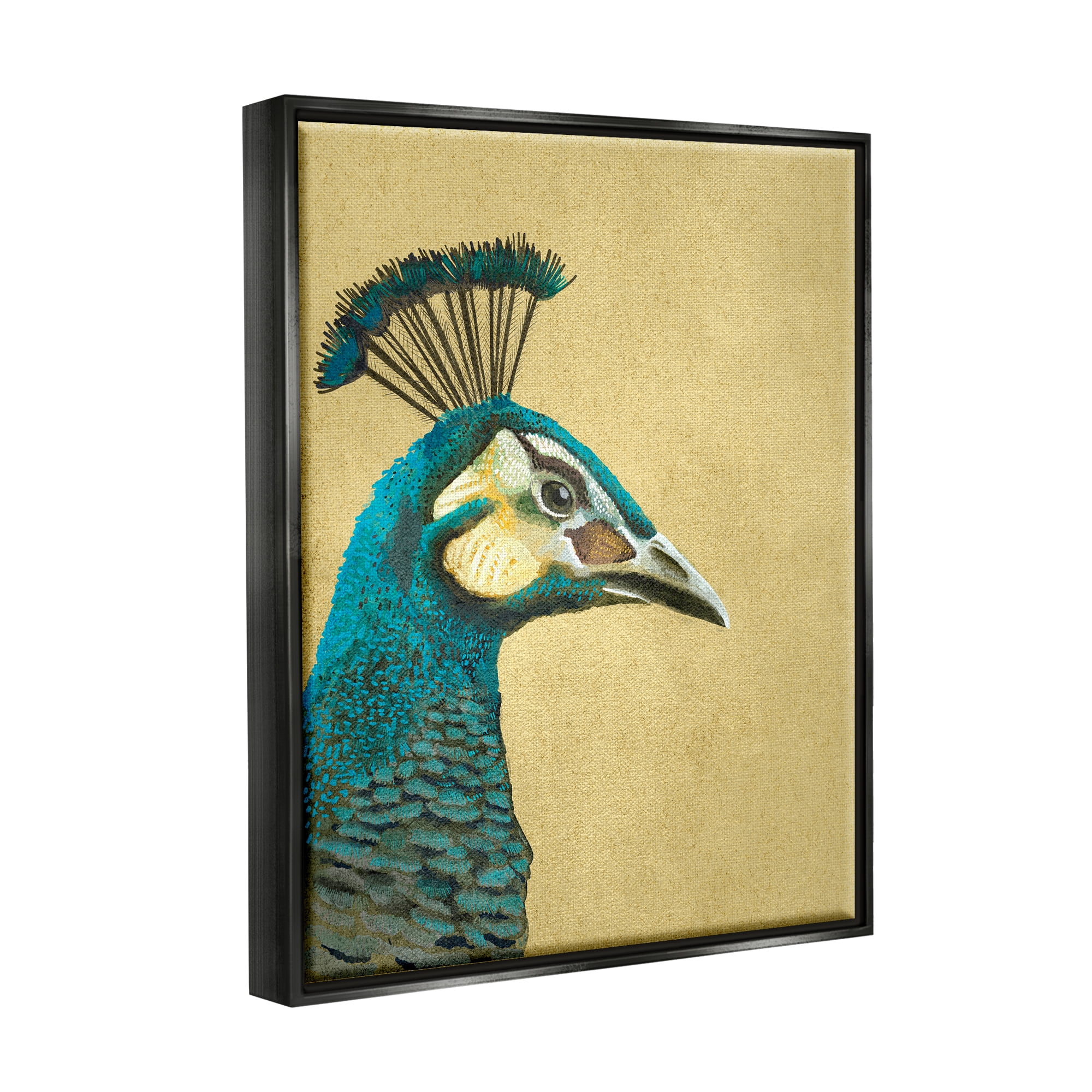 Stupell Industries Peacock Looking Right Animals & Insects Painting Black Floater Framed Canvas Art Print Wall Art, 25 x 31