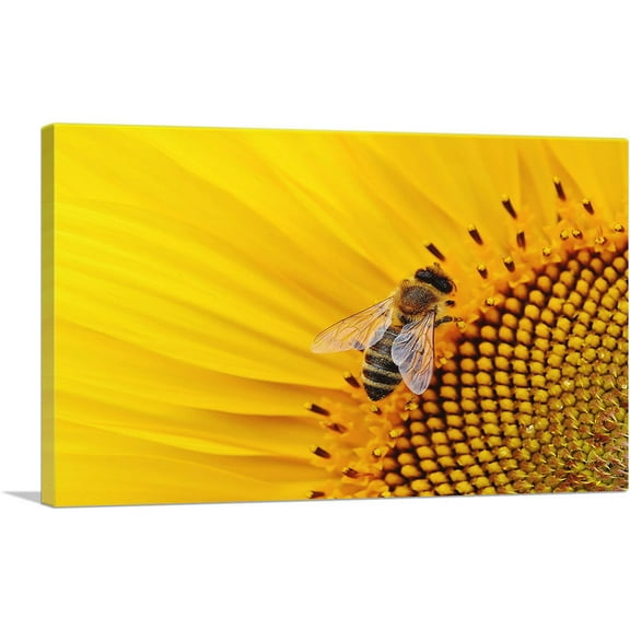 ARTCANVAS Bee On Sunflower Home decor Canvas Art Print - Size: 26" x 18" (0.75" Deep)