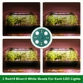 thumbnail image 5 of iMounTEK 2Pack 40 Cells Seed Starter Tray, Plant Grow Light with 4 Adjustable Brightness | Automatic Timing Setting | Humidity Dome, Plant Starter Kit and Base Mini Greenhouse Germination Kit, 5 of 10