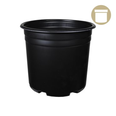 1 Gallon Trade Plastic Nursery Pots – 6x6 Inches – Sold In Sets Of 5,10,25,50,100,250,500