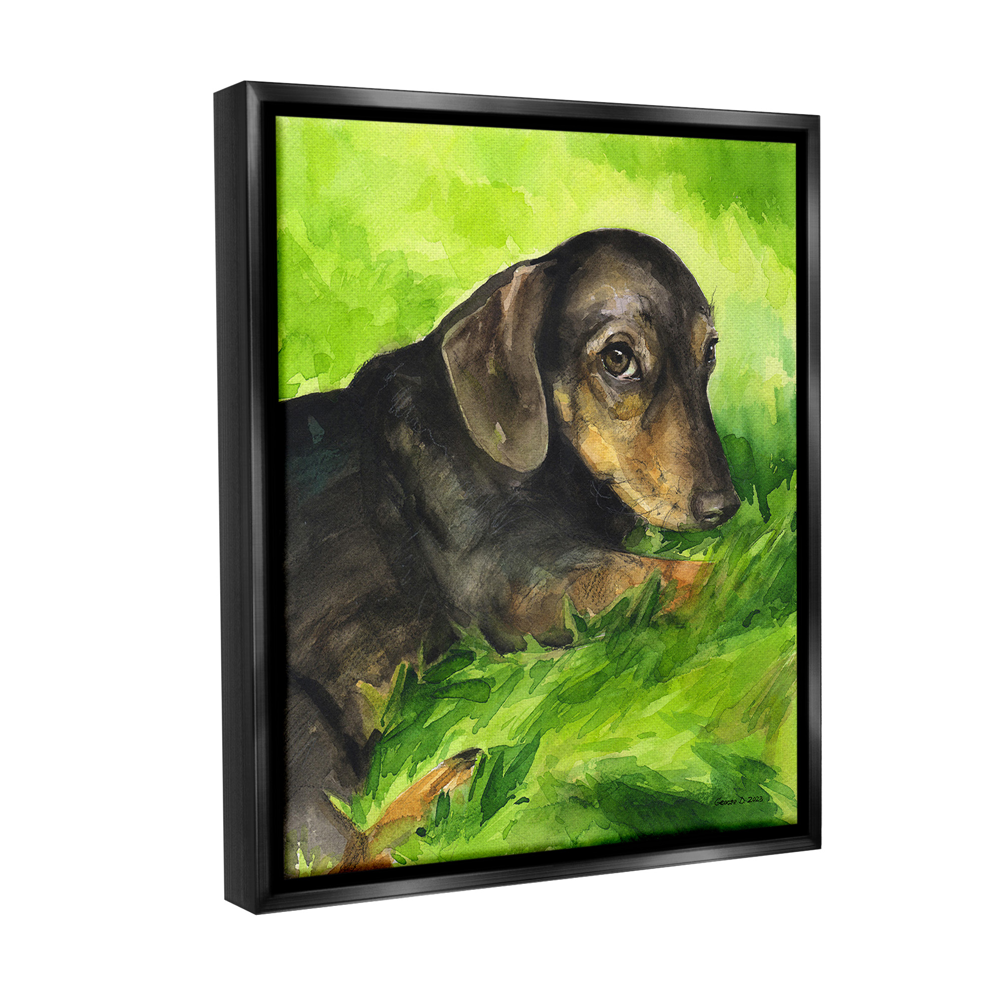 Stupell Industries Dachshund Relaxing in Grass Animals & Insects Painting Black Floater Framed Canvas Art Print Wall Art, 25 x 31