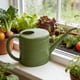thumbnail image 1 of Regadera Portátil para Plantas Jarra de Riego Herramienta de Jardinería Botella Resistente con Mango Ergonómico Adecuada para Niños Oficinas Jardines Verde, 1 of 8