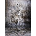 thumbnail image 1 of YUSDECOR Photo Backdrops for Baby Photo Studio Props Children Photography Background Photo 5x7ft, 1 of 2