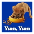 thumbnail image 4 of Alimento para Perro. Pedigree Cachorro con Res y Vegetales 4.5 kg., 4 of 4