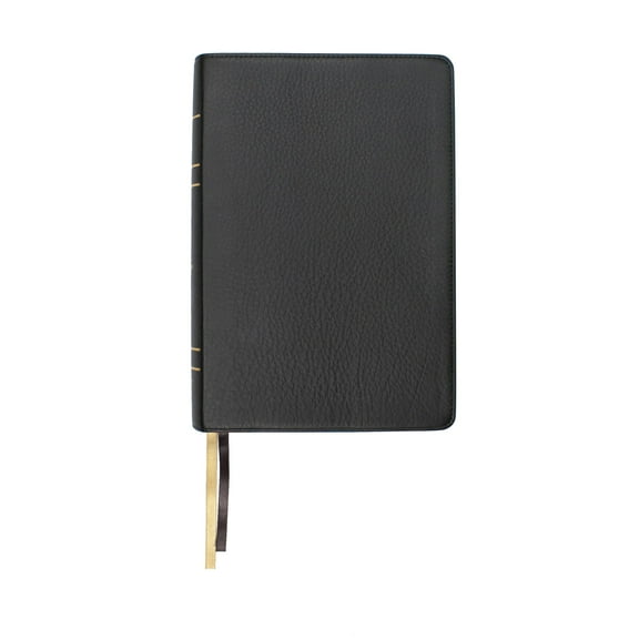 LSB Legacy Standard Bible/Large Print Wide Margin Bible-Black Paste Down Faux Leather Indexed