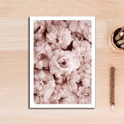 Modern Romantic Light Pink Peonies Flowers Canvas Paintings Gallery Posters Prints Wall Art Pictures Bedroom Interior Home Decor