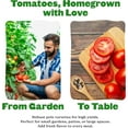 thumbnail image 5 of Epic Gardening Tomato Lovers Seed Bundle, 5 Juicy Varieties, Includes Brandywine, Chadwick Cherry & Tropical Sunset, Grow Non-GMO Tomatoes for Meals, 5 of 6