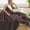 D, variant on Throw Blanket Cozival Extra Large Fleece Throw Blanket 180X200Cm, Ultra-Soft Lightweight Office Nap Blanket, Cozy Textured Fuzzy Plush for Sofa Bed, Machine Washable, Plush Throw Blanket, Khaki