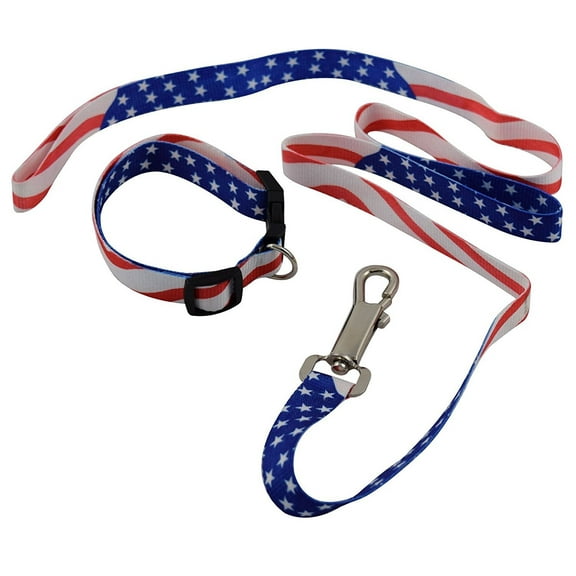 USA Patriotic American Military Memorial Labor Day Dog Collar and Leash Set