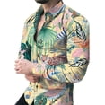 thumbnail image 2 of Camisas florales estilo playa hawaiano 2024 para hombre, camisa vintage con estampado 3D para hombre, camisa de manga larga con solapa y botón, primavera Y2k, 2 of 4