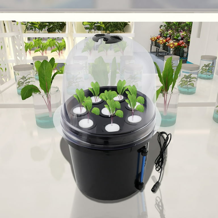 ECUTEE Complete Hydroponic System 8 Site Hydroponic Grow Kit Seeds Plant  Gardening Tool - Walmart.com