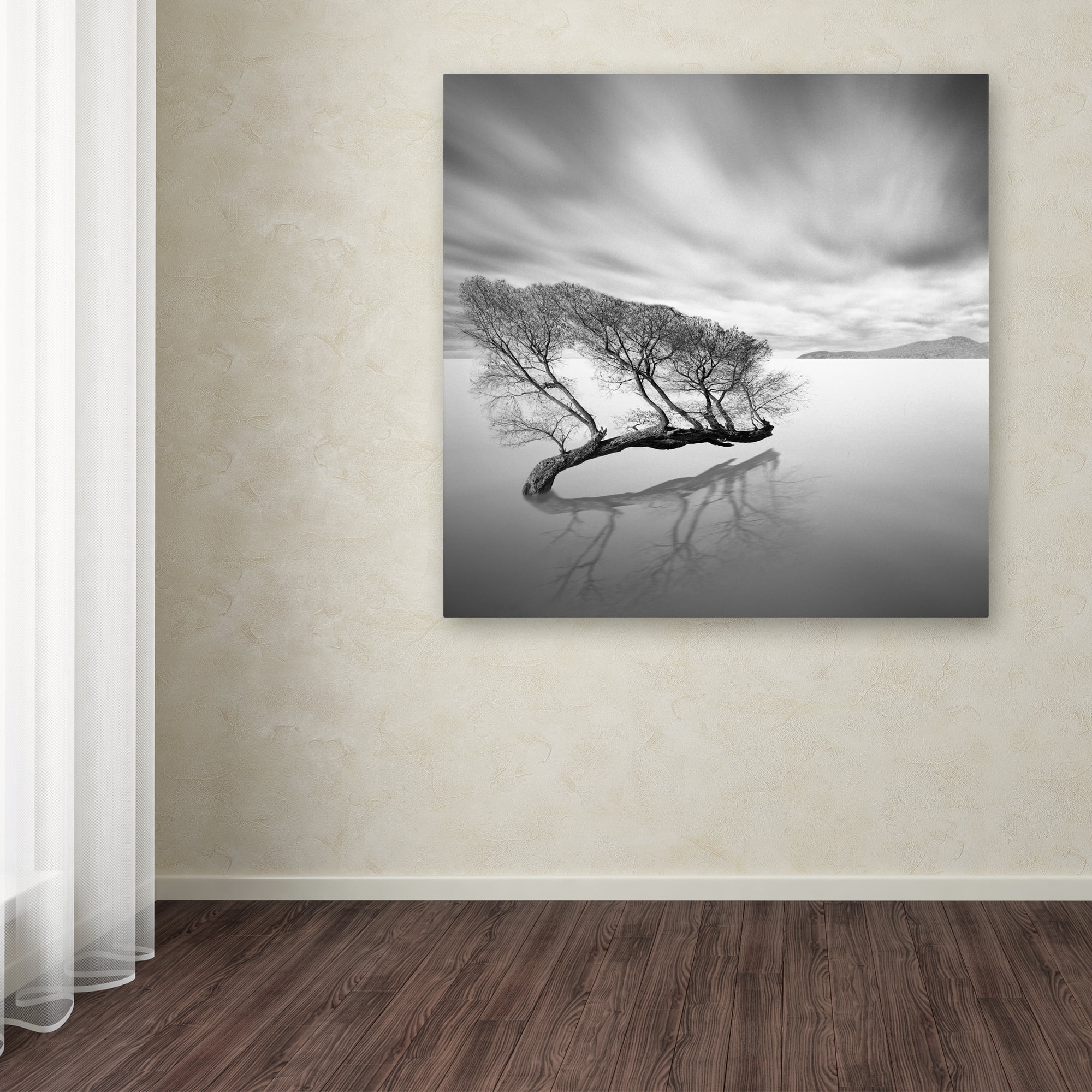Trademark Fine Art "Water Tree VII" Canvas Art by Moises Levy