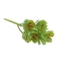 thumbnail image 2 of Plantas Suculentas Artificiales Similares A Las Plantas Agave Echeveria Titanota Lotus 2, 2 of 9