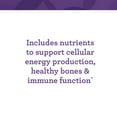thumbnail image 4 of INNATE Response Formulas One Daily - B Vitamins - Herb-Free Multivitamin - 90 Servings, 4 of 8