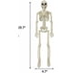 thumbnail image 2 of Halloween Skeletons Decorations, 16" Posable Plastic Skeleton, Full Body Skeleton with Movable Joints, Scary Skeletons fo Halloween Party Decor, 2 of 4