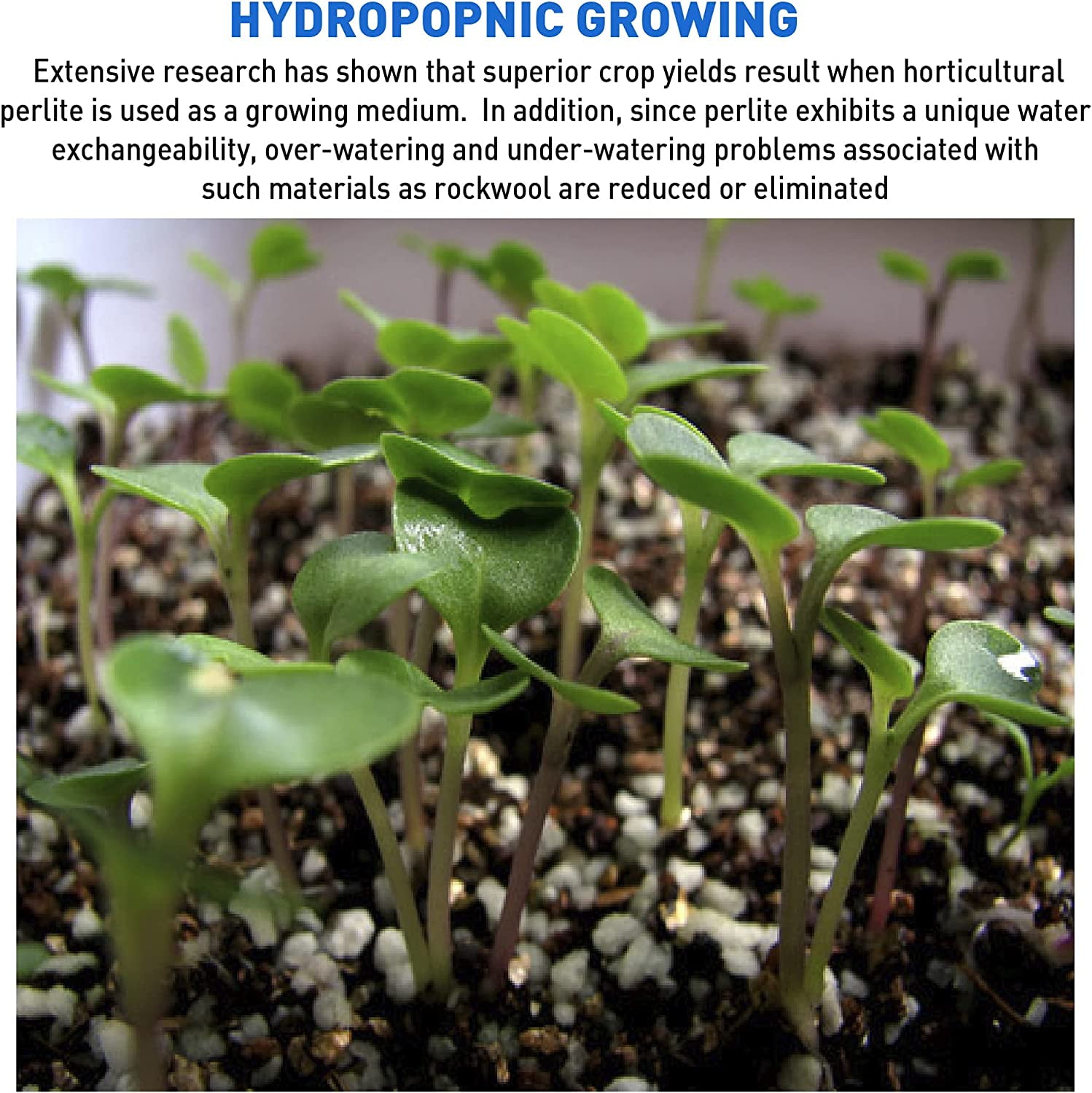 AeroSoil Premium Perlite Horticultural Grade Soil Additive Drainage and Growth-Coarse 4 Cubic Foot - White