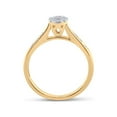 thumbnail image 3 of Diamond Princess 14kt Yellow Gold Womens Round Diamond Cluster Ring 1/4 Cttw, 3 of 4