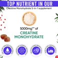 thumbnail image 3 of Gomitas de monohidrato de creatina Adndale 5000 mg con vitamina B12 75 veganas, 3 of 9