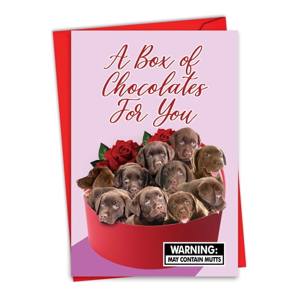 NobleWorks Funny Valentine's Day Greeting Card with 5 x 7 Inch Envelope (1 Card) Box of Chocolates C8855VDG